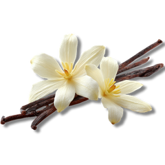 Vanilla