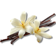 Vanilla