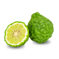 Bergamot